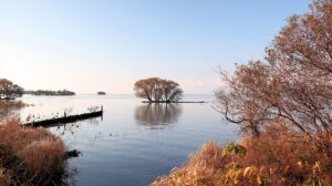 琵琶湖はパワースポット!特に強いエネルギーを発する場所と理由