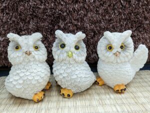 ふくろうは縁起がよい？置物や財布が幸運呼ぶのは本当？