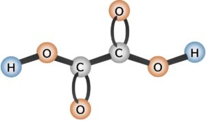 シュウ酸と健康、少ない野菜、多い食べ物、科学的な排出方法