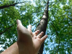 「氣」の意味、その正体をスピリチュアルで片付けてよいのか