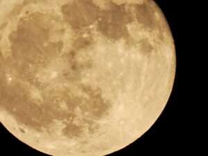 満月のときに人間の生理現象に変化が起こるのはなぜか?