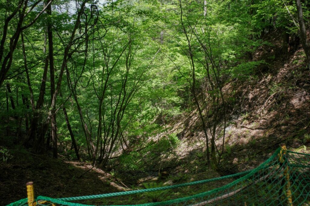 ゼロ磁場とは？うつも治るという効果を過信する危険性